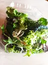 mix-verduras-huertoverde-1.webp