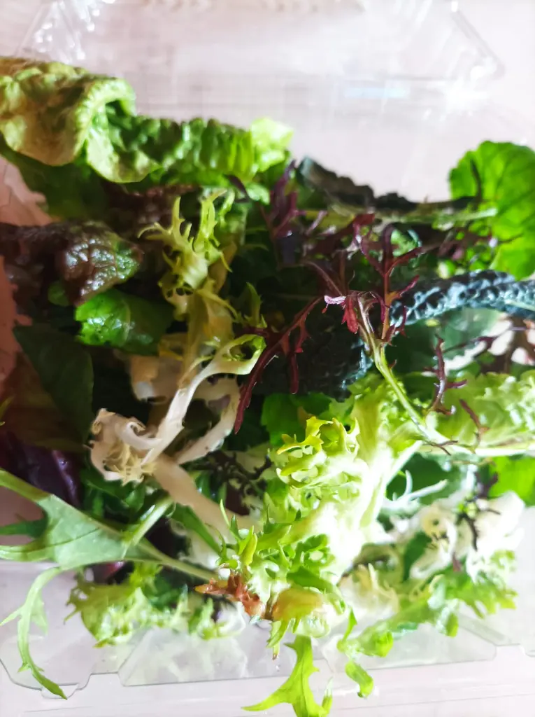 mix-verduras-huertoverde-2.webp