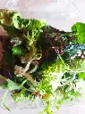 mix-verduras-huertoverde-2.webp