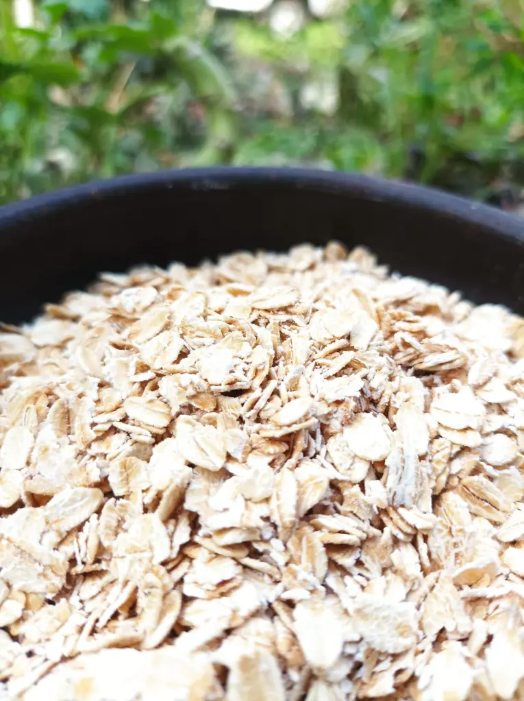 avena-huertoverde-1.webp