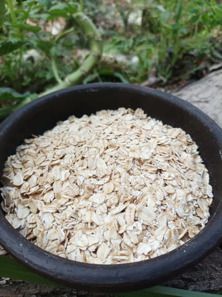 avena-huertoverde-2.webp