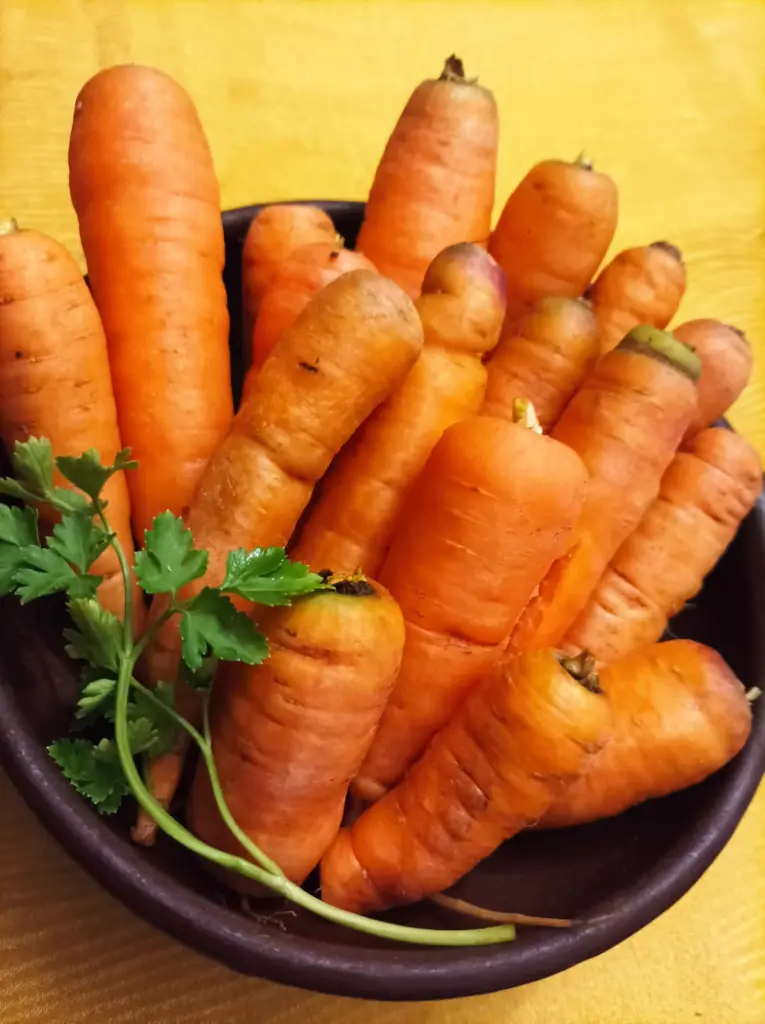 zanahorias-huertoverde.jpeg2.webp