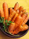 zanahorias-huertoverde.jpeg2.webp