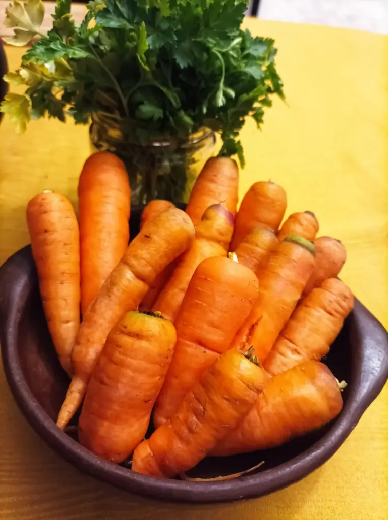 zanahorias-huertoverde.webp
