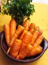 zanahorias-huertoverde.webp