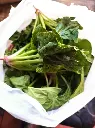 espinacas.webp