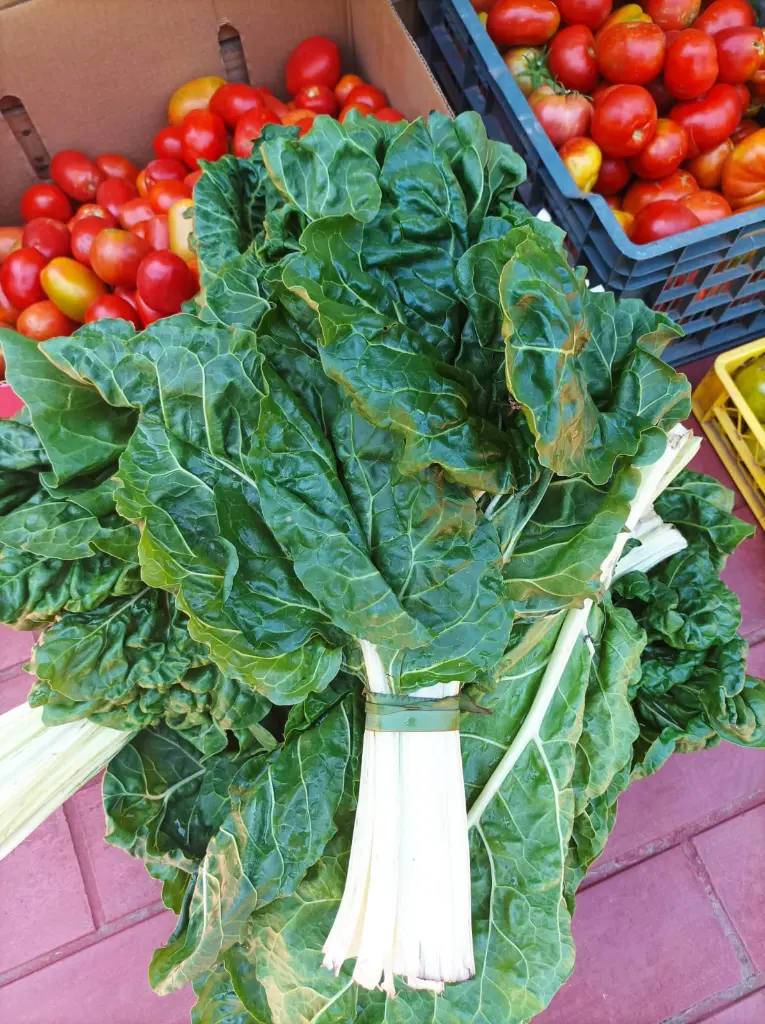 acelga-huertoverde.webp