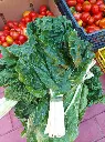 acelga-huertoverde.webp