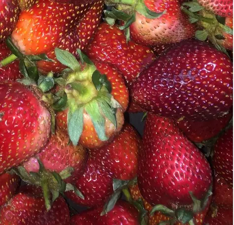 frutillas-organicas a domicilio- huertoverde-1.webp