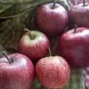 Manzanas Orgánicas 2Kg.webp