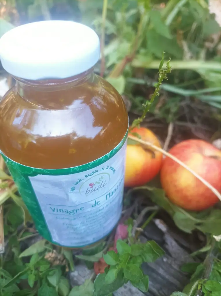 Vinagre-manzana-huertoverde3.webp