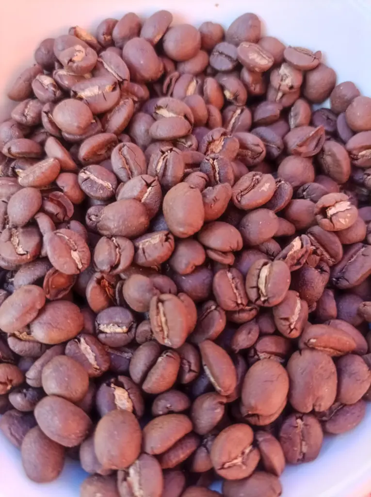 Cafe-especialidad-bolivia-huertoverde-4.webp