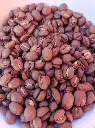 Cafe-especialidad-bolivia-huertoverde-4.webp