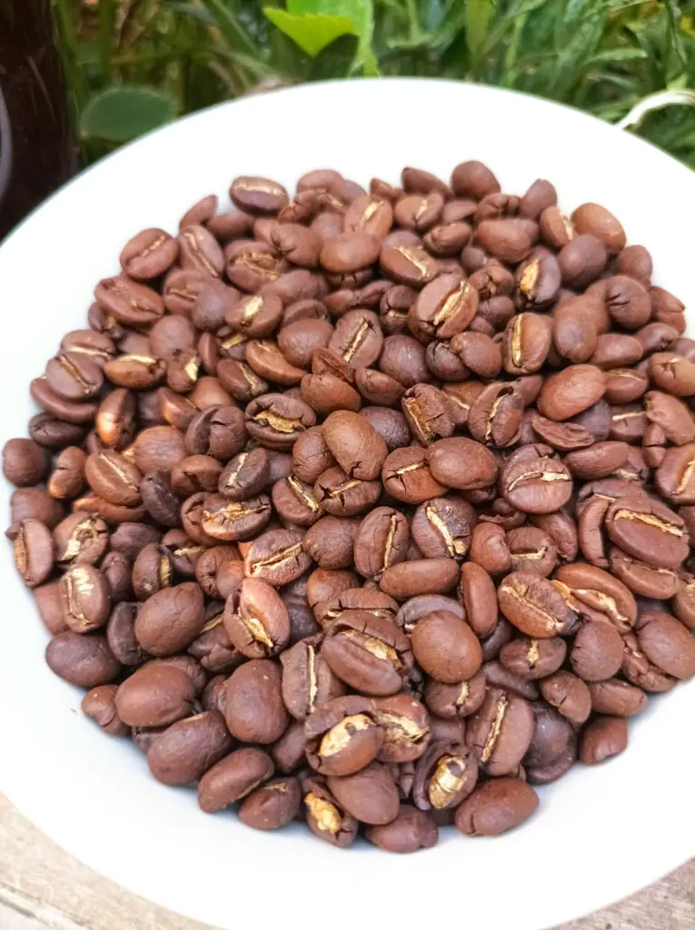 Cafe-especialidad-bolivia-huertoverde-4 (2).webp