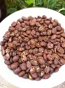 Cafe-especialidad-bolivia-huertoverde-4 (2).webp