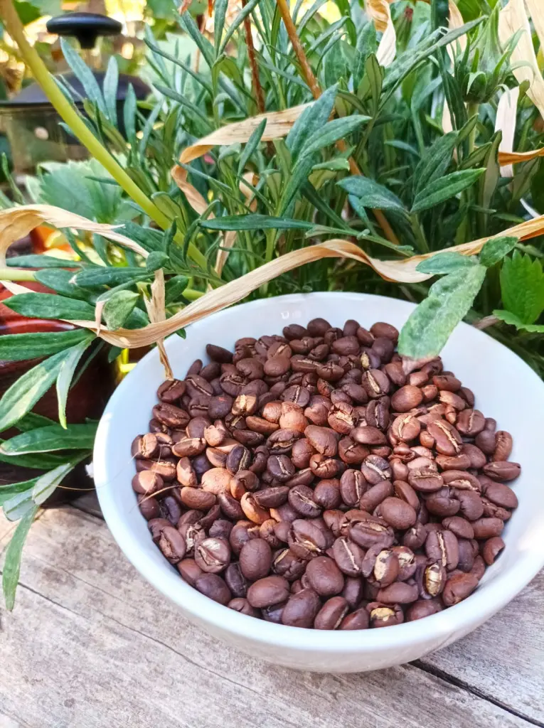 Cafe-especialidad-bolivia-huertoverde-2.webp