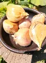 ajo-chilote3.webp