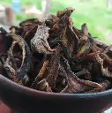 callampa-maulina-huertoverde-3.webp