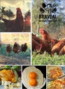 Huevos Agroecologicos