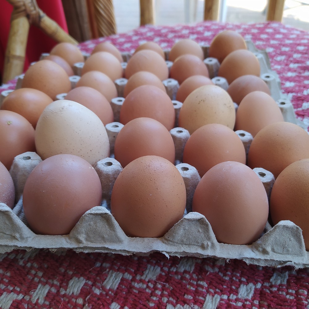 Huevos Agroecologicos