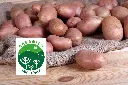 Papas-organicas-oferta.webp