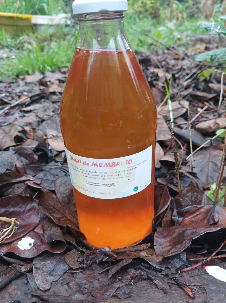 jugo-organico-membrillo2.webp