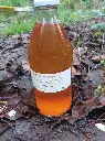 jugo-organico-membrillo2.webp