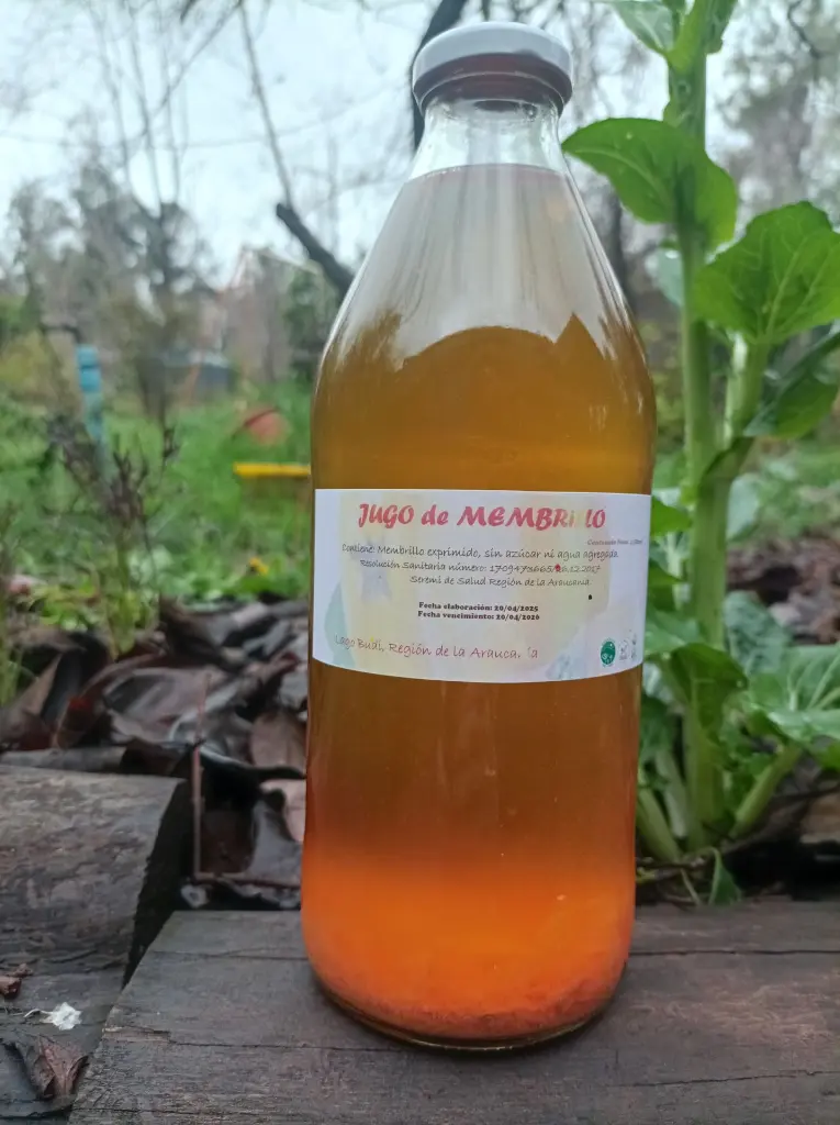 jugo-organico-membrillo3.webp