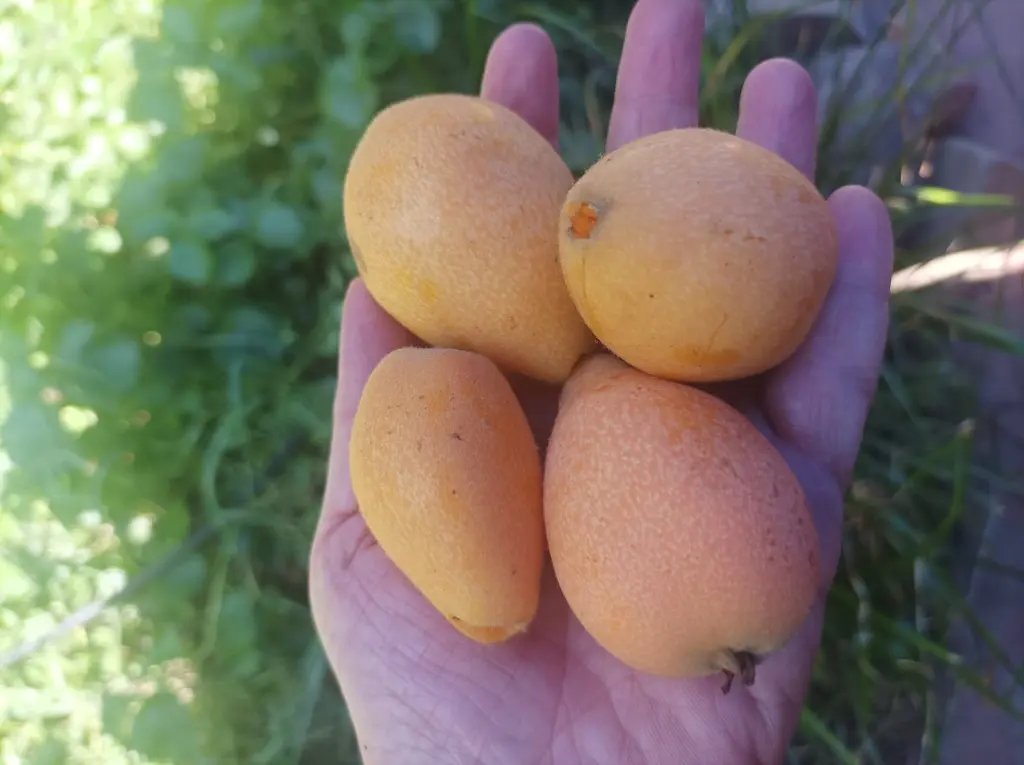 WhatsApp Image 2025-10-20 at 1.35.12 PM(1).webp