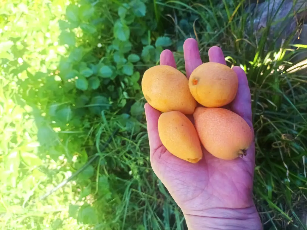 WhatsApp Image 2025-10-20 at 1.35.13 PM.webp