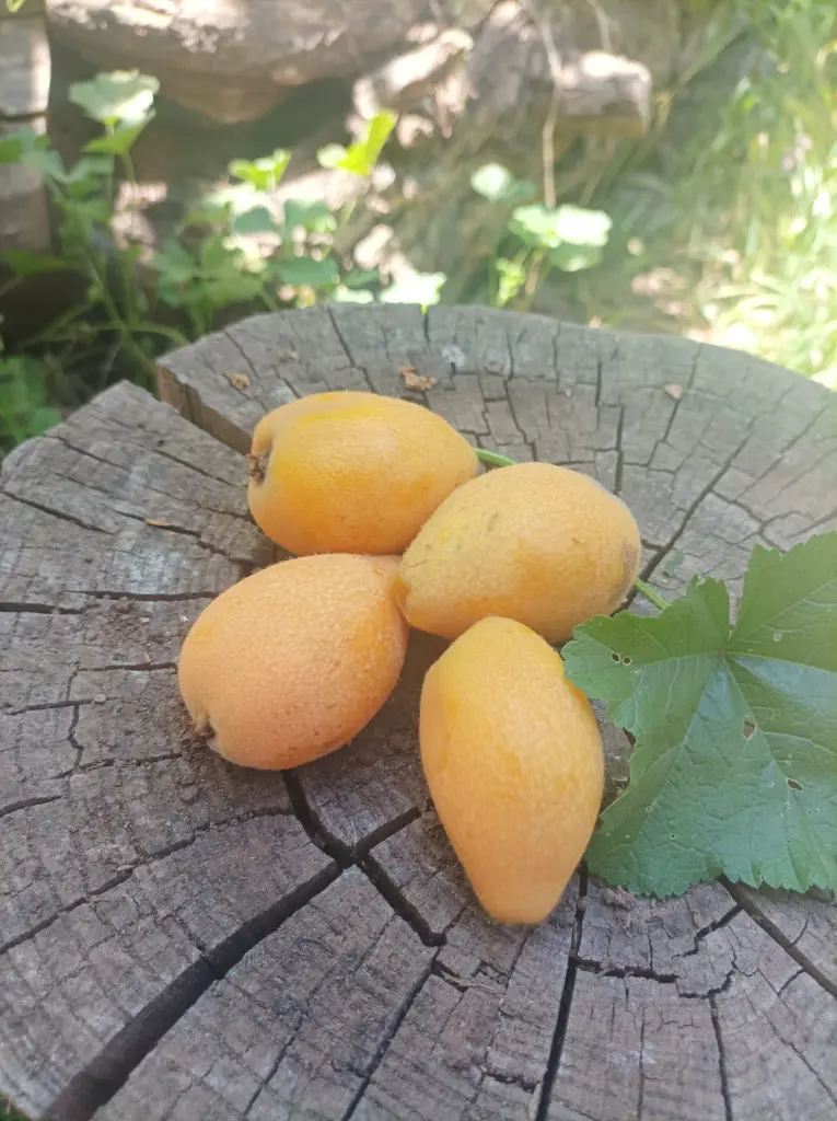 WhatsApp Image 2025-10-20 at 1.35.12 PM(2).webp