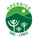 logo_SAG.webp