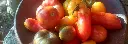 tomates.webp