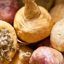 maca-raiz.webp