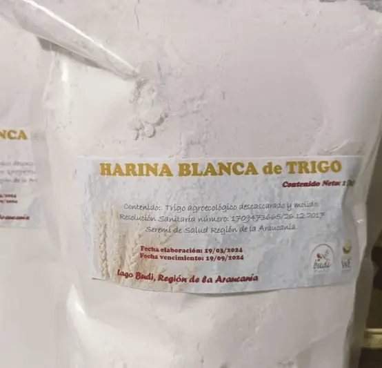 X_harina-trigo-blanco8450.webp
