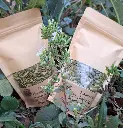 Semillas-zapallo-huertoverde3.webp