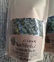 Semilla-zapallo-huertoVerde.jpg.webp