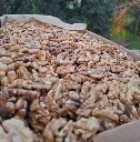 nueces-mariposa-temporada-huertoverde2.webp