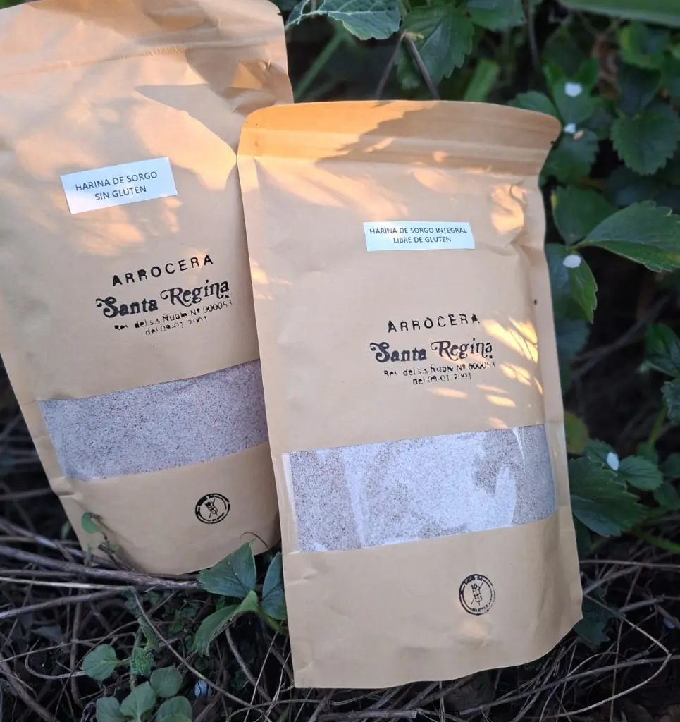 Harina-de-sorgo-integral-sin-gluten-certificado-santa-regina-500g-huertoverde-3.webp