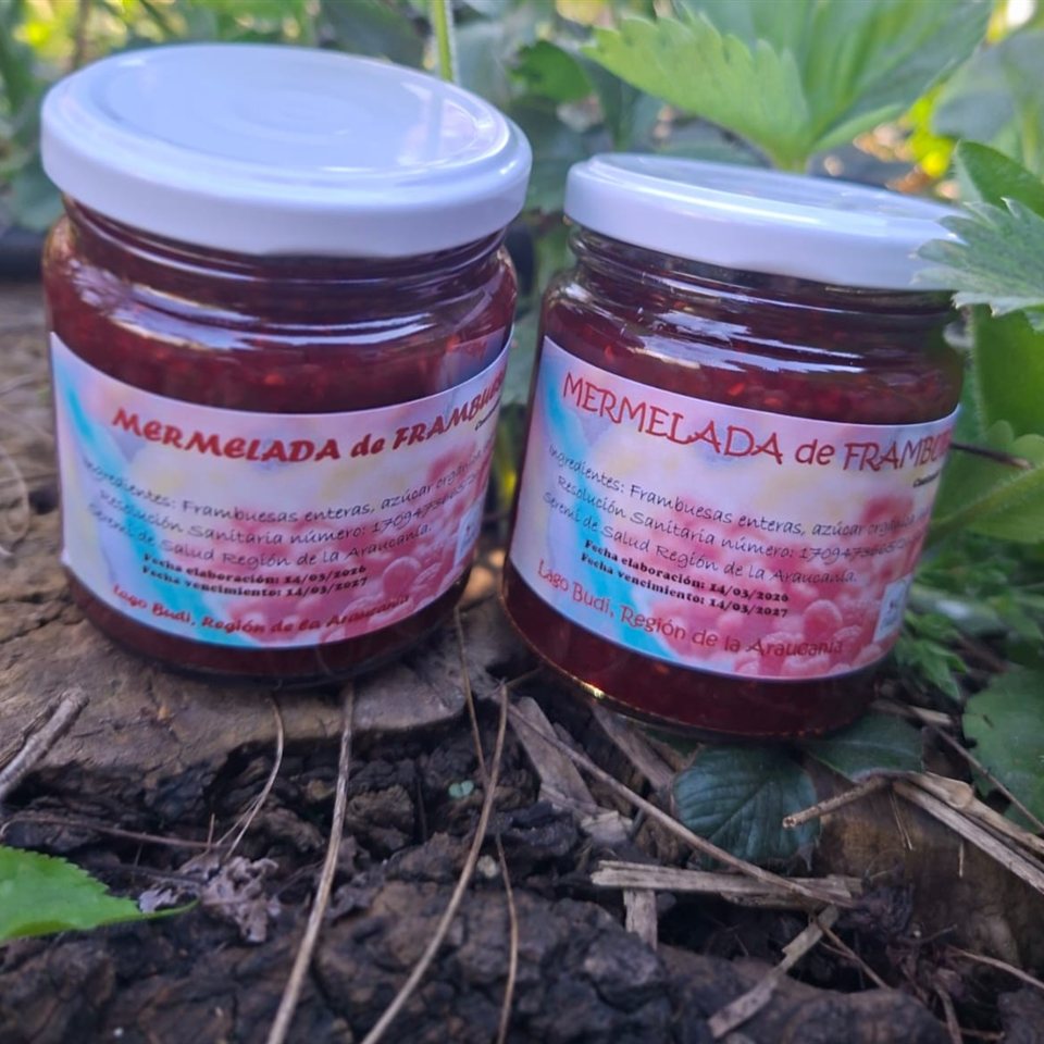 Mermelada de Frambuesa Orgánica · Lago Budi 280 g, HuertoVerde
