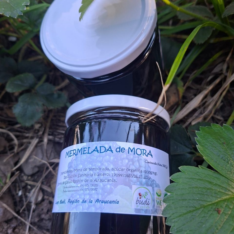 Mermelada de Mora Orgánica · Lago Budi 500 g, HuertoVerde