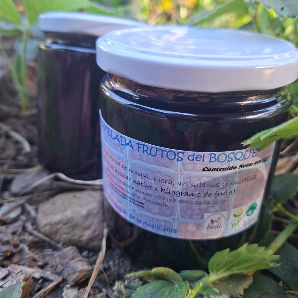 Mermelada Frutos del Bosque Orgánica con Maqui · Lago Budi 500 g, HuertoVerde