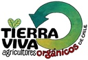 Lechuga organica