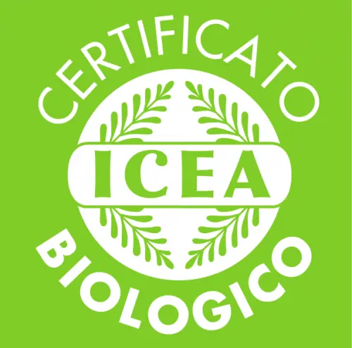 logo-icea.webp