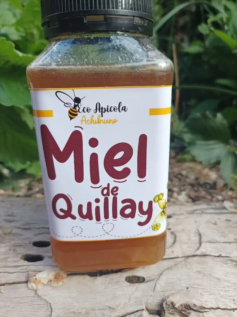 Miel de Quillay