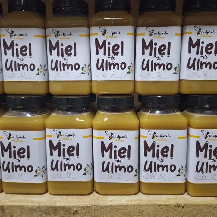 Miel de Ulmo