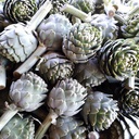 Alcachofas orgánicas x3