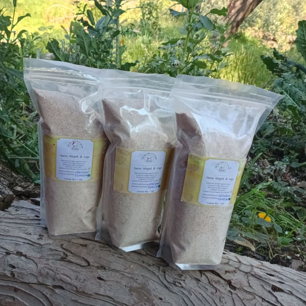 Harina Integral 1 kg