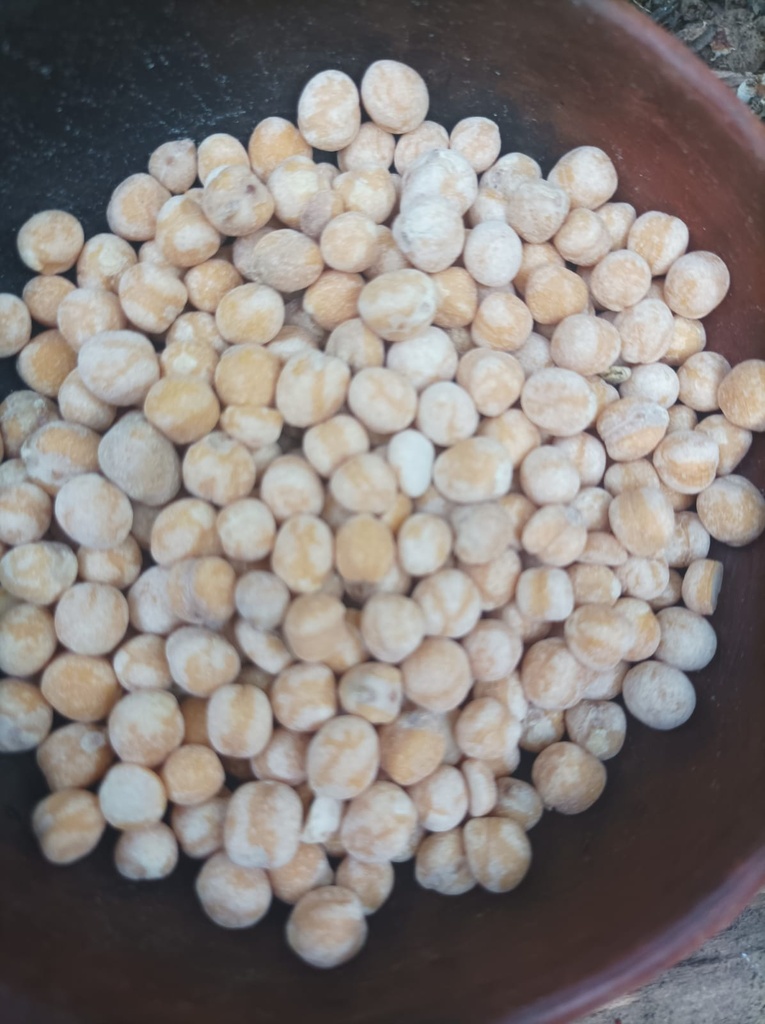 Garbanzo Chileno sin piel 1k