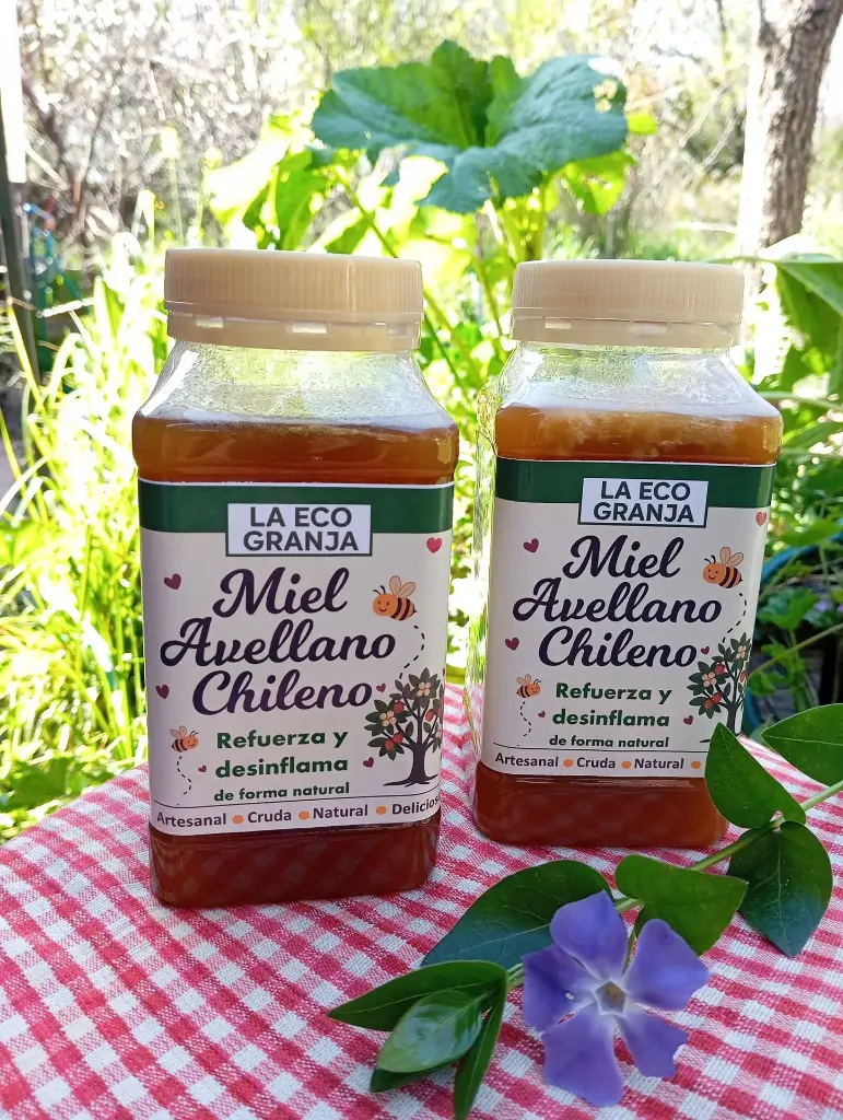 Miel de Avellano Chileno